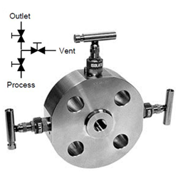 Double Block and Bleed Monoflange Valve