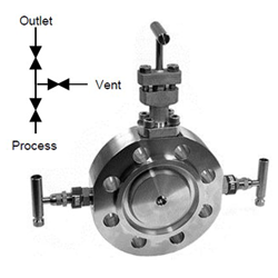Double Block and Bleed Monoflange with OSandY Primary Isolation Valve
