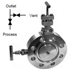 Single Block and Bleed Monoflange with OSandY Primary Isolation Valve