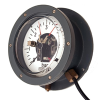 Pressure Gauges for Special Applications
